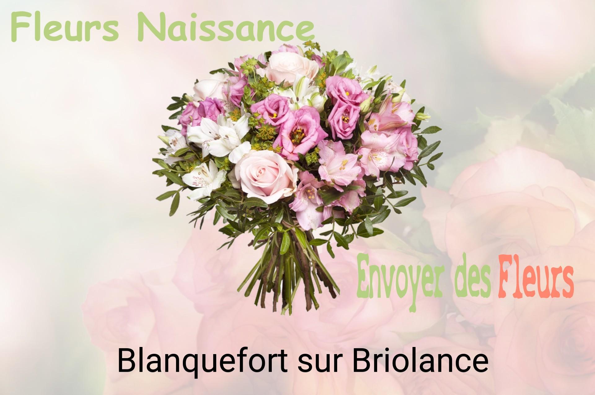 Bouquet de fleurs de naissance livré à Blanquefort-sur-Briolance